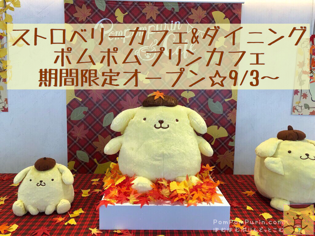 5D3Q5672 | ポムポムプリンカフェ,パンケーキタワー Pom pom prin cafe